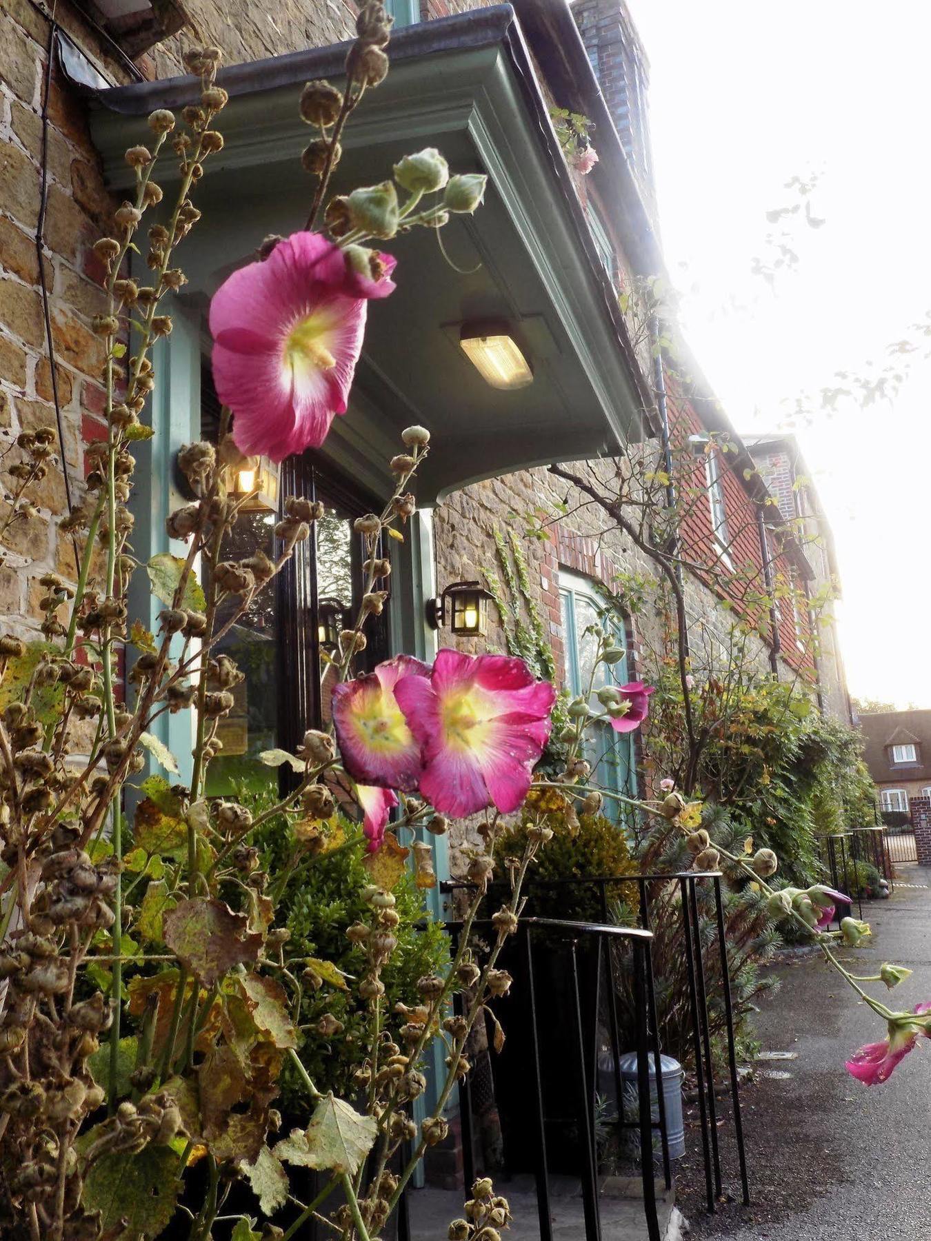 The Angel B&B Chichester Eksteriør bilde